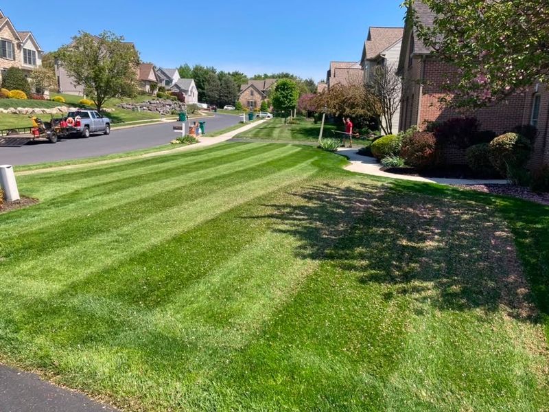 Lawn Maintenance