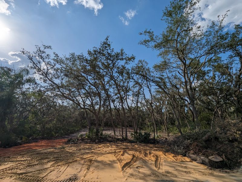 Land Clearing