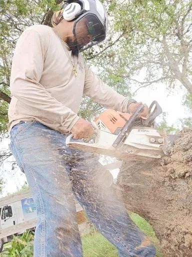 Stump Removal