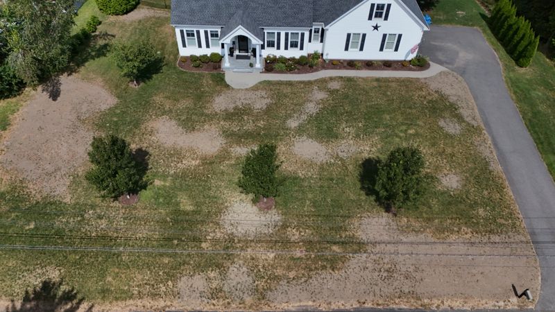 Lawn Installations