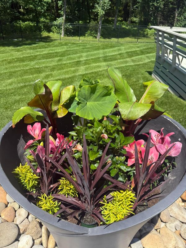 Landscape Lighting
