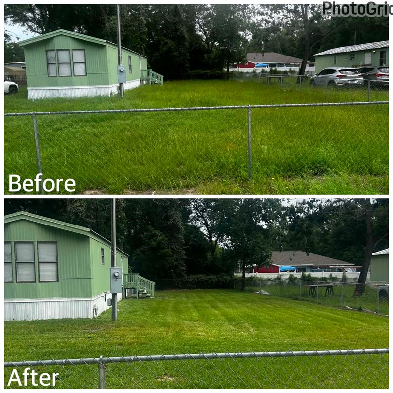 Before & After
