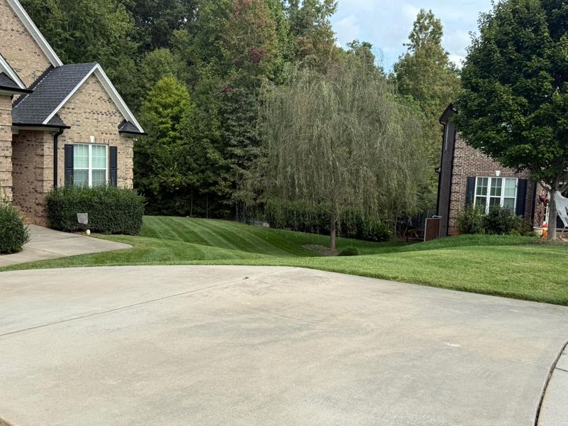 Other Lawn Maintenance
