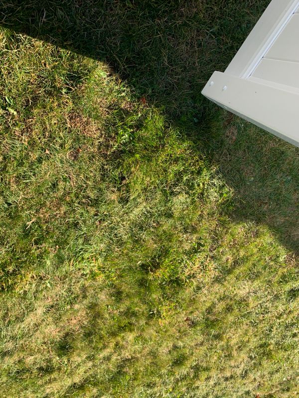 Mowing gallery