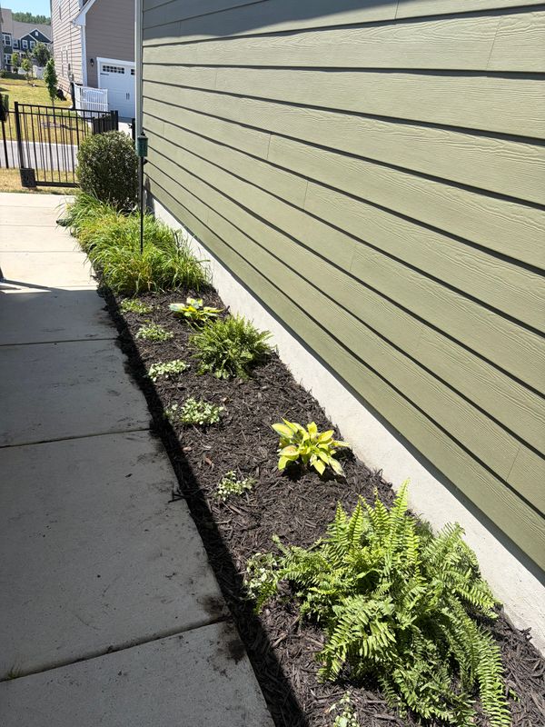 Landscape Design