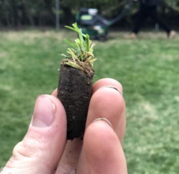 Reviving Lawns with Professional Aeration Services