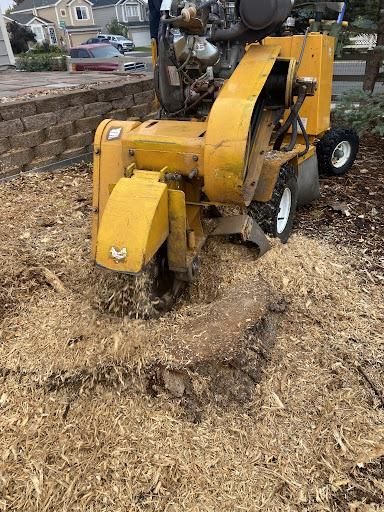 Stump Removal