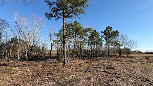 Land Clearing & Demolition