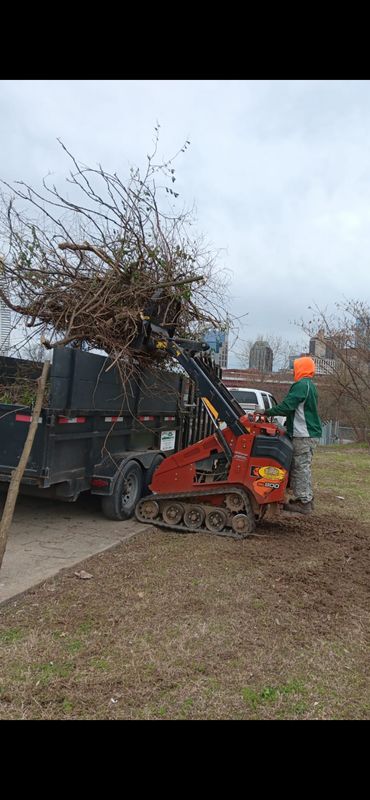 Fall Clean Up