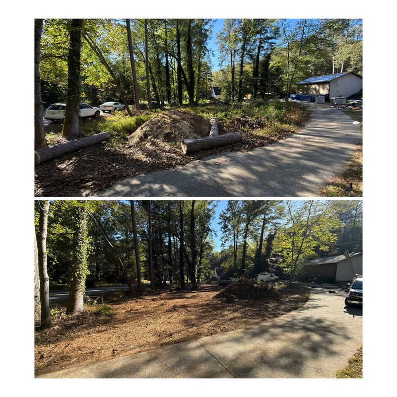 Brush Cutting & Cleanups