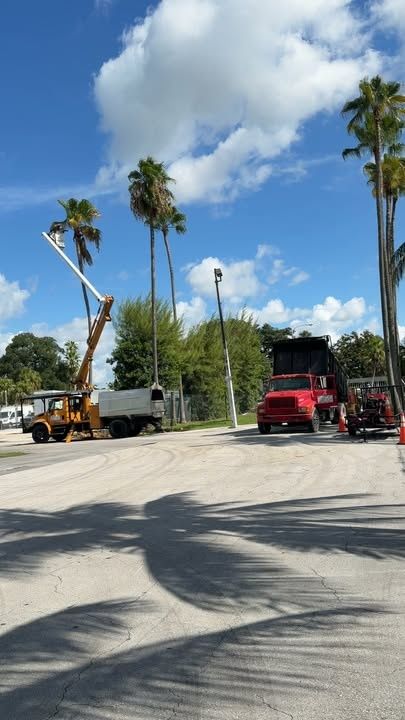 Tree Trimming