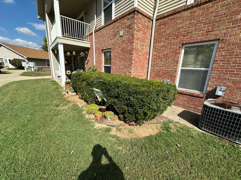 Shrub & Hedge Trimming
