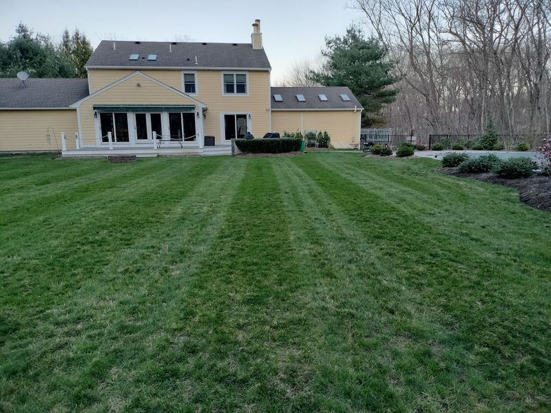 Landscaping gallery