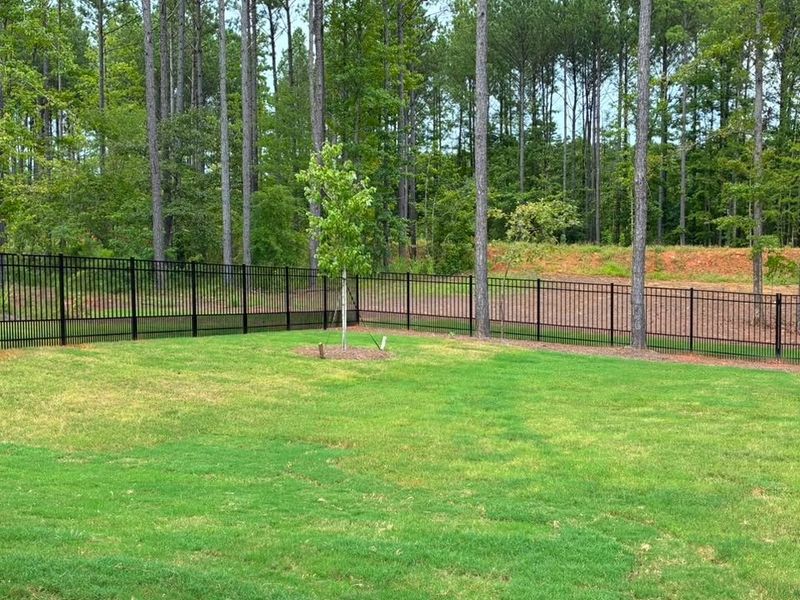 Fence Installation