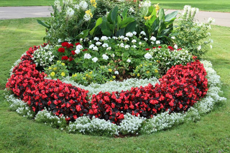 Landscape Design