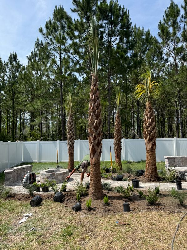 Landscaping Installation & Design