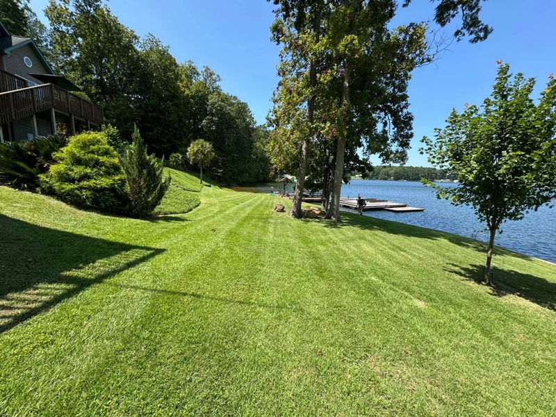 Shrub Trimming