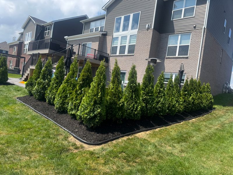 Mulch Installation