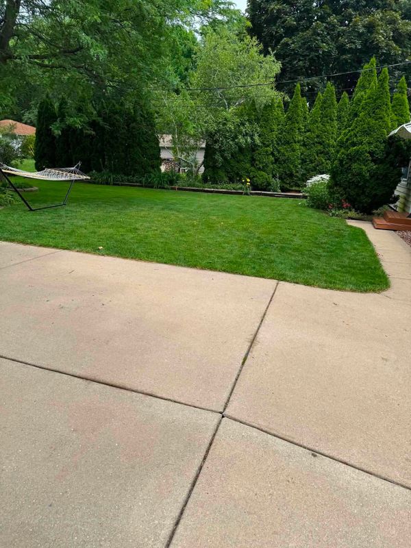 Tree & Shrub Care