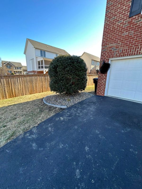 Shrub and Hedge Care