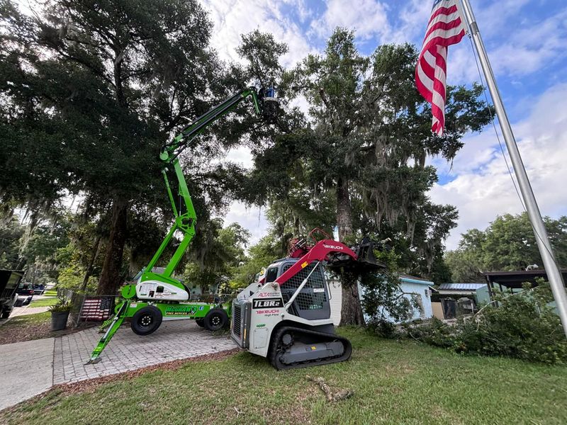 Tree Trimming and Removal