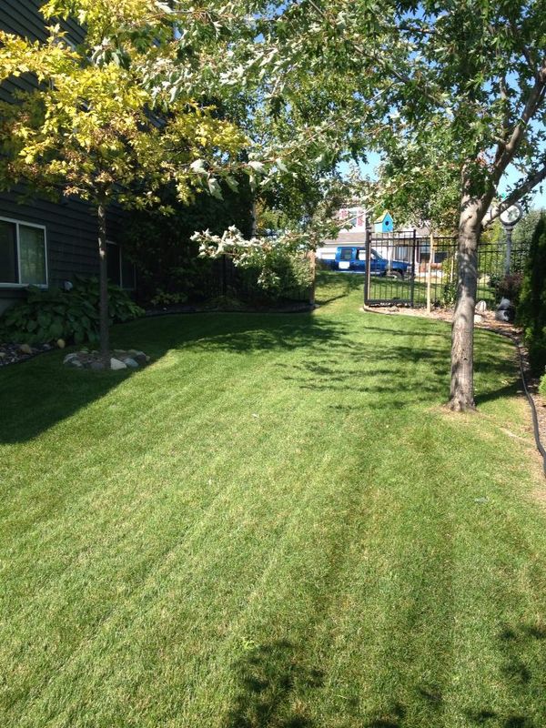 Lawn Care