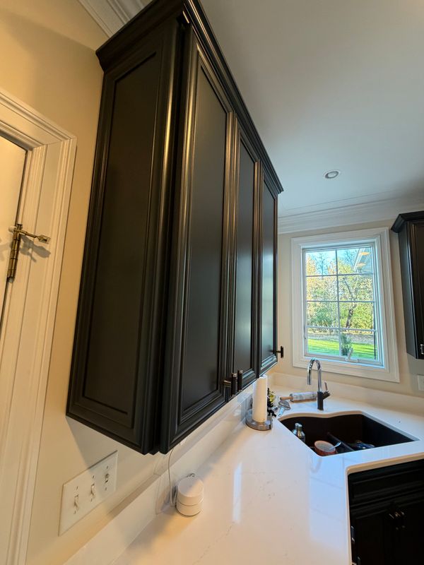 Kitchen and Cabinet Refinishing
