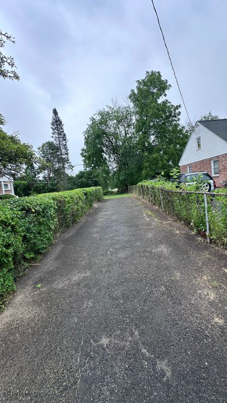 Shrub Trimming
