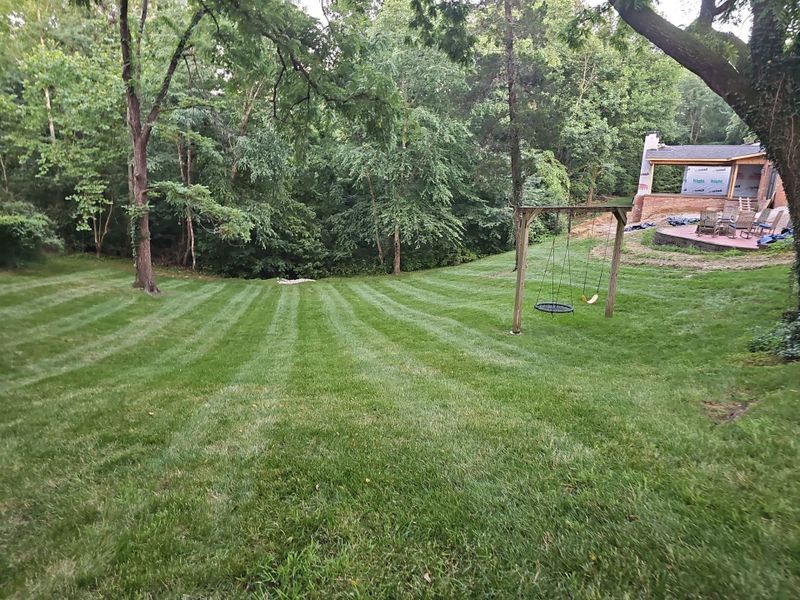 Lawn Maintenance