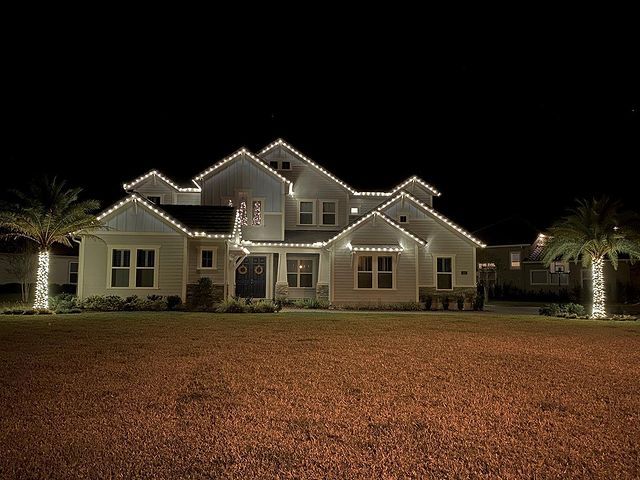 Christmas Light Installation
