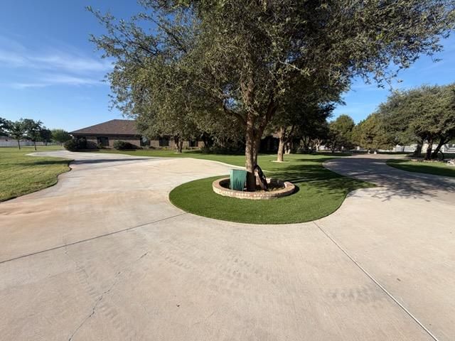 Tree Service