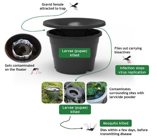 Lawn Care