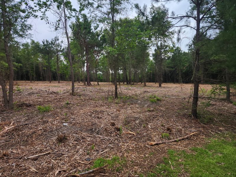 Forestry Mulching