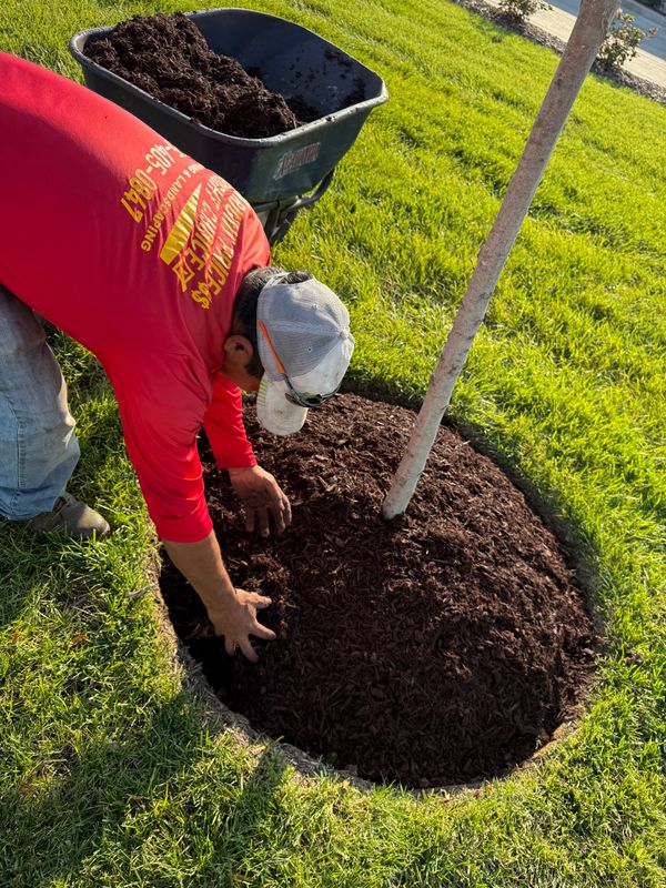 Mulch Installation