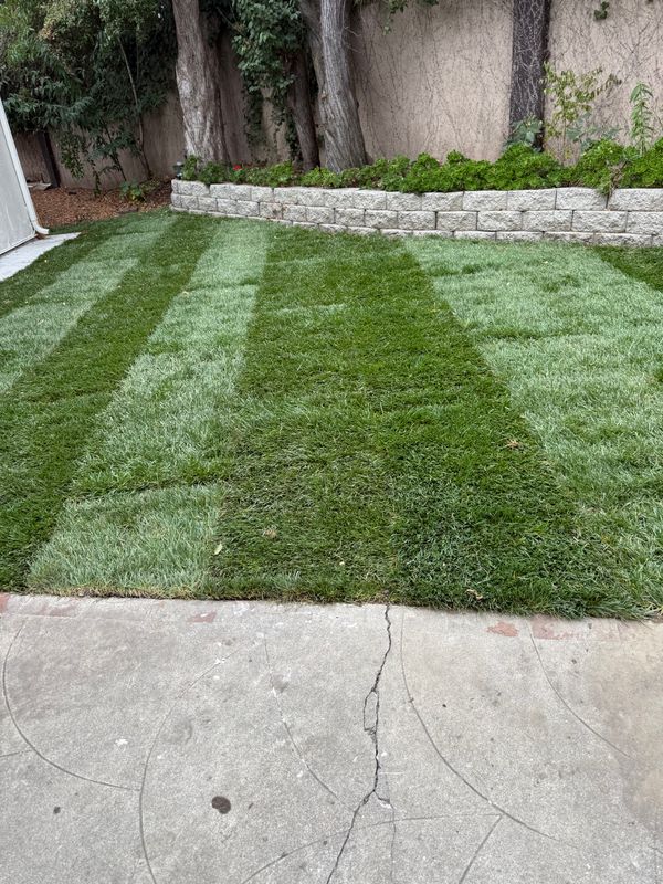 Landscaping