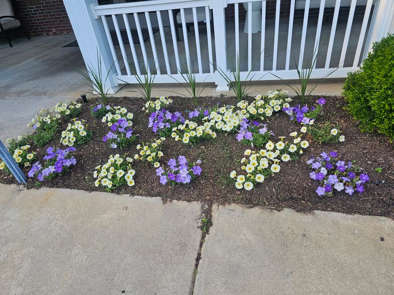 Landscape Design