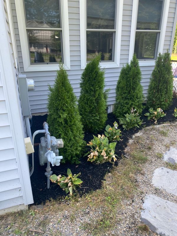 Mulching