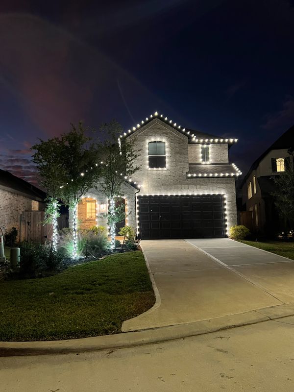 Check Out Our Work! 