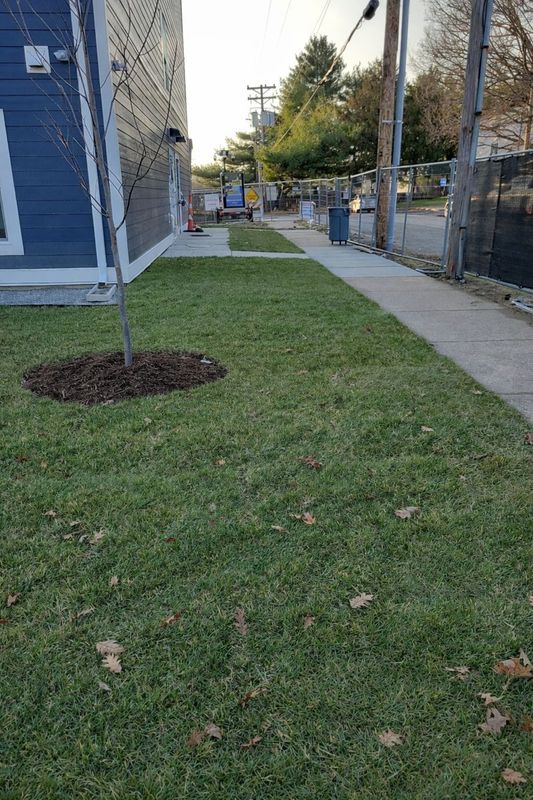 Landscape Installation