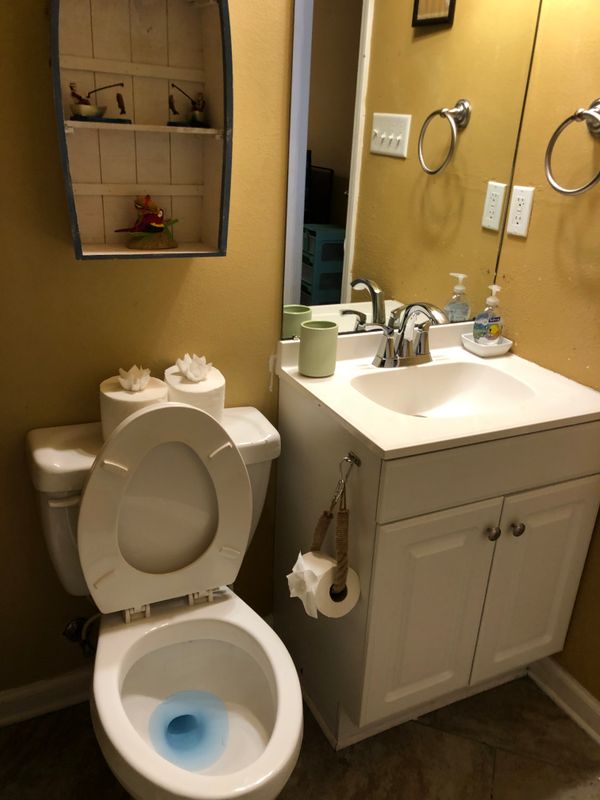 Bathroom Cleaning