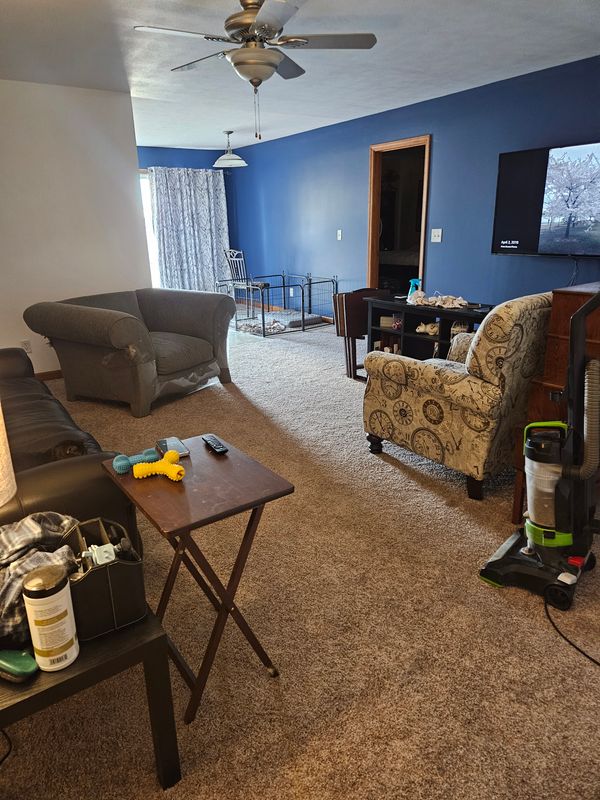 Transforming Spaces: Vibrant Interior Painting for Modern Comfort