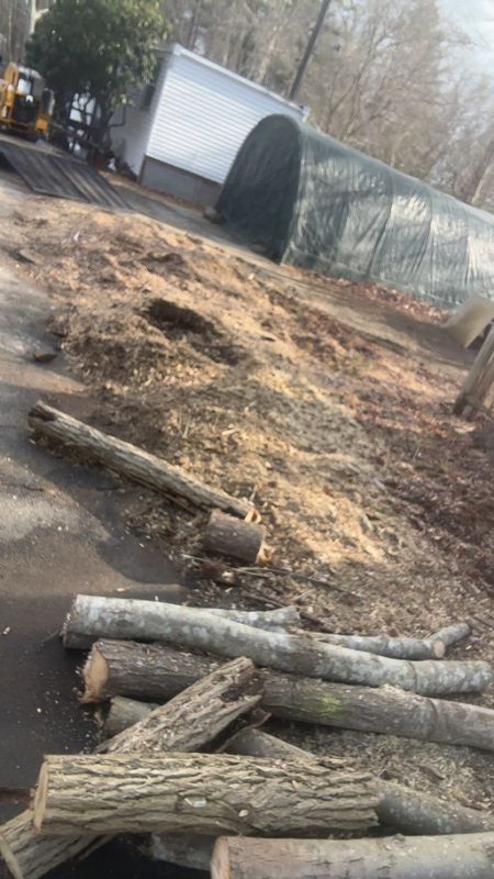 Tree Removal gallery