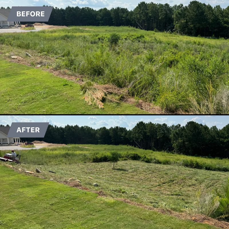 Before and After