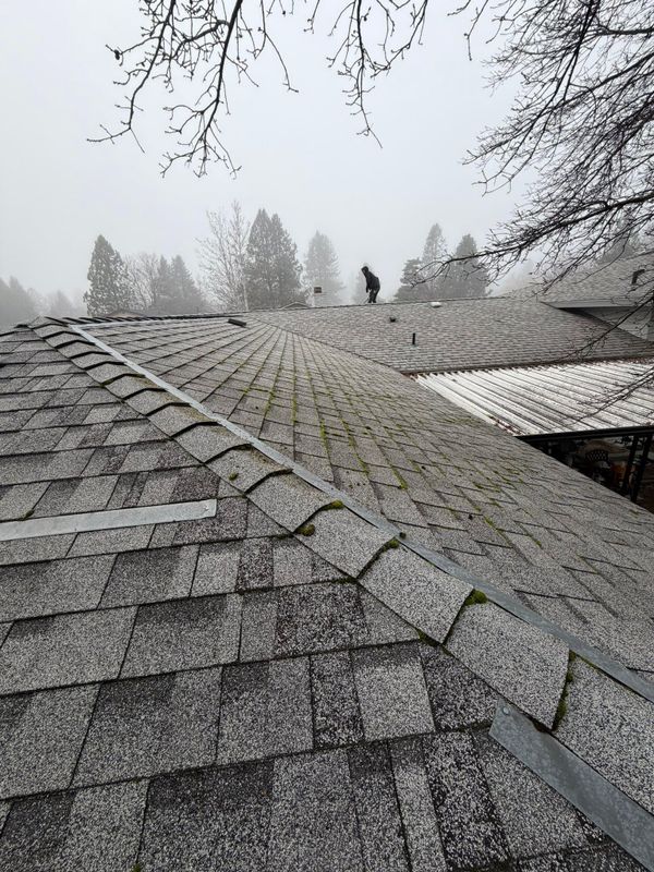 Roof Rejuvenation