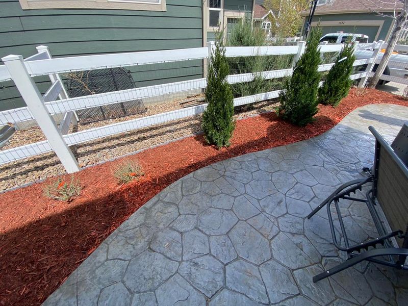 Tree & Shrub Care
