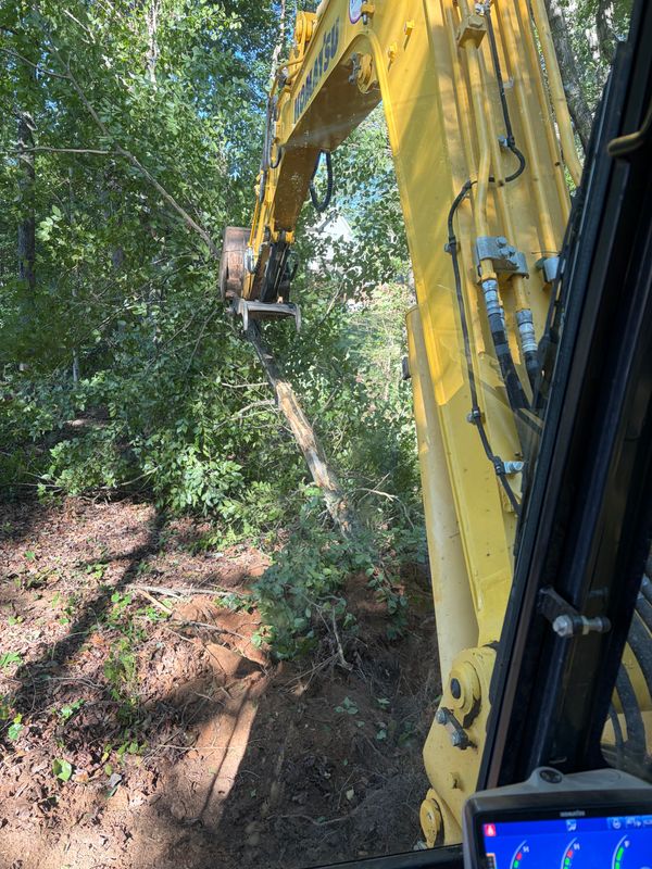 Land Clearing Photos