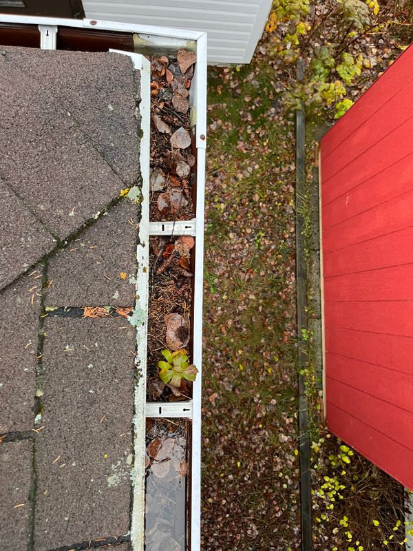 Gutter Cleaning & Repair