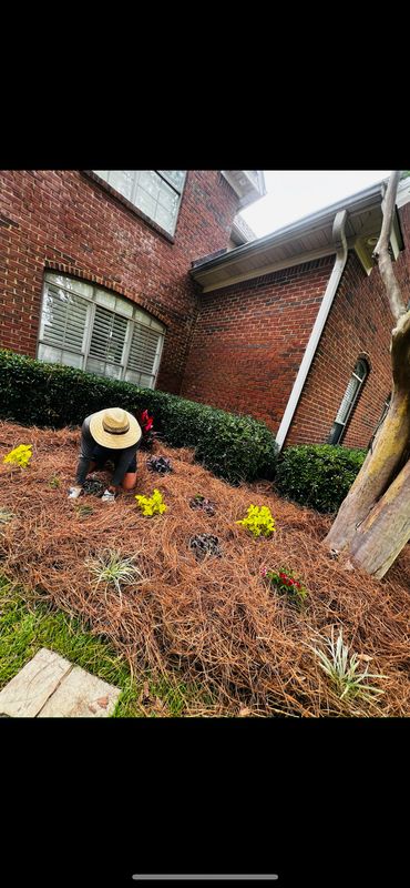 Landscape Maintenance