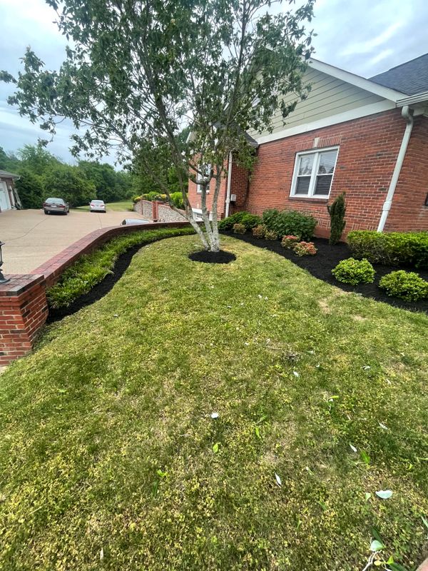 Shrub Trimming