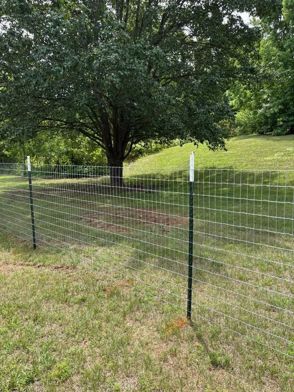 Agricultural Fence